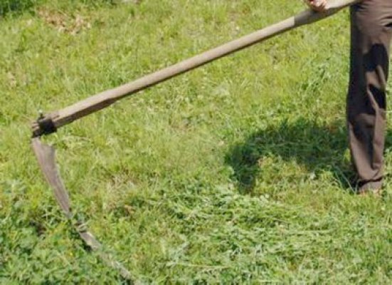 Bărbatul care şi-a atacat vecinii cu o coasă face puşcărie